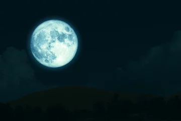 Tuinposter Volle maan en bomen super volle oogst maan op nachtelijke hemel terug silhouet berg