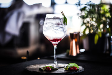 tonic gin with fresh red berries 