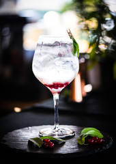 tonic gin with fresh red berries 
