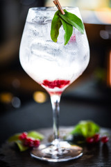 tonic gin with fresh red berries 