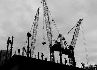 Cranes