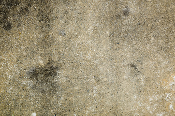 mildewed wall background