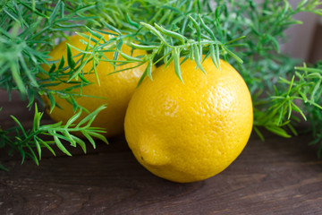 Lemon slices over a wooden background with a green sprig