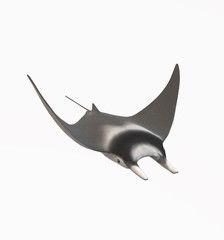 Deep Sea Creature illustration