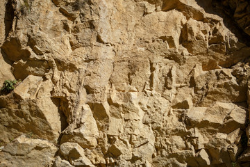 Photo of rocky terrain with green plants.