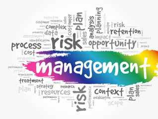 MANAGEMENT word cloud collage, business concept background