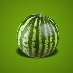 Watermelon.