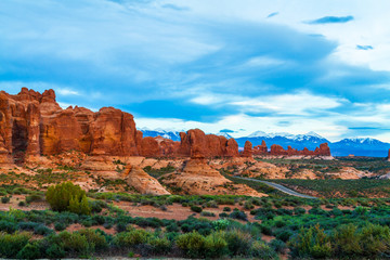 Fototapeta premium Road in the park