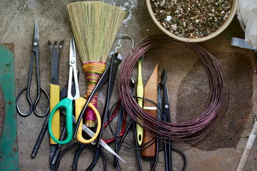 Fotobehang Bonsai Japanese Bonsai pruning Tools kit  © Nori Wasabi