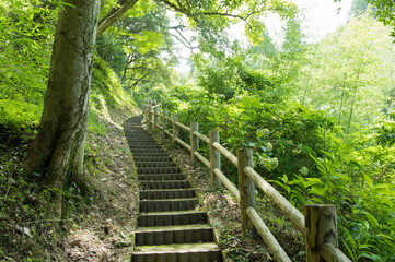 日本の滝百選　観音の滝の遊歩道