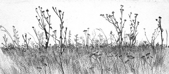 pencil drawing illustration, sketch © vadim_fl