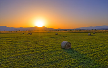 Hay bale in the countryside with the sun touching horizon in the background