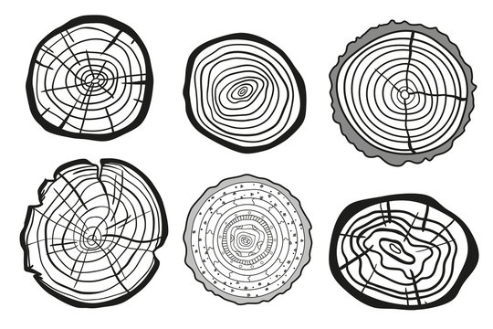 Monochrome tree rings on white. Set of cross section. Outline for your design. Black and white illustration