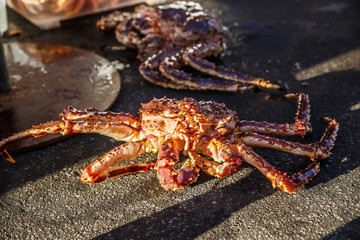 Fresh Japanese hair crab, King Crab of Hokkaido, Japan , Fresh Red King Crab.