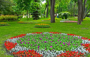 Flower beds in Shevchenko park in Kiev in spring. Ornament of spring flowers