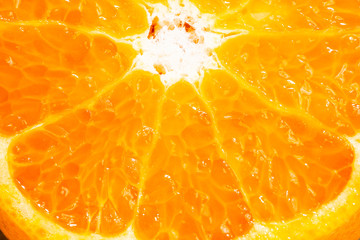 macro photography of cut orange