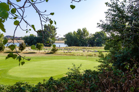 Golf Club in Düsseldorf - Deutschland