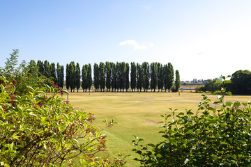 Fototapeta premium Golf Club
