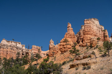 Red Canyon low angle landscape of red, orange and white hoodoos and spires
