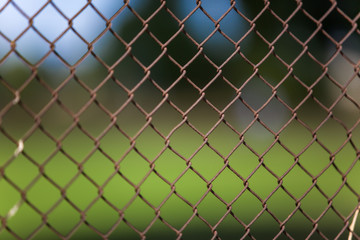 Fototapeta premium Golf Club