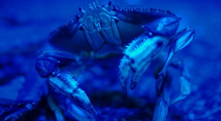 abstract background with lots of light spots