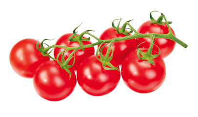Tomaten