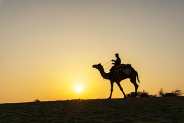 Fototapeta na wymiar Silhouette of Indian man and camel during sunrise at Thar desert in Jaisalmer, Rajasthan, India.