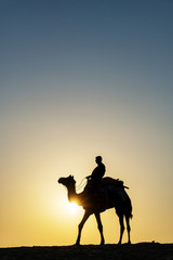 Silhouette of Indian man and camel during sunrise at Thar desert in Jaisalmer, Rajasthan, India.