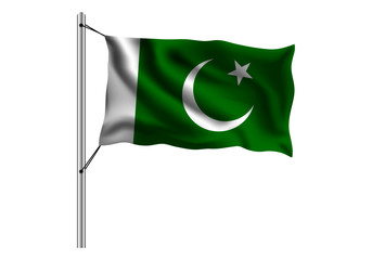Waving Pakistan flag on flagpole on isolated background, flag of Pakistan, vector illustration