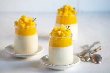 Italian dessert panna cotta with mango jelly and pieces of fresh mango. Copy space.