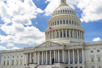 Naklejka premium US Capitol building in Washington DC
