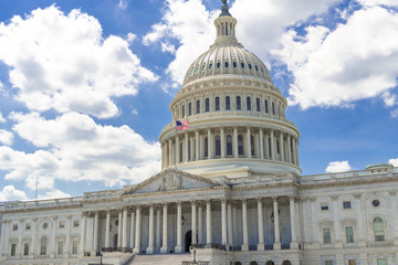 Obraz premium US Capitol building in Washington DC
