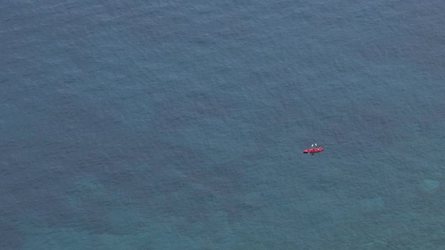 scuba diver in the sea
