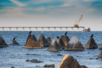 Seascape. Stones and concrete pyramids with cormorants and seagulls in the sea against the background of the Shabla Bridge. Northern Black Sea Coast, Bulgaria.