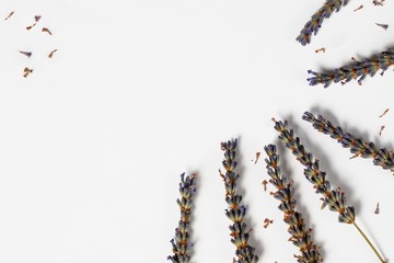 Violet lavender stack on a white background