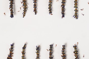 Frame made of lavenders isolated on a white background 