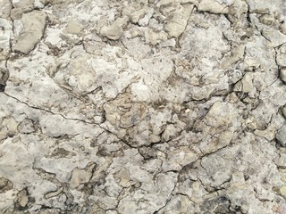 texture of old wall