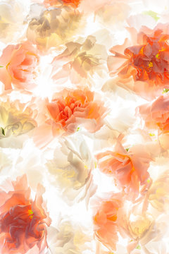 carnation flowers pattern