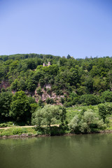 blick auf den wald in hochkant in heidelberg deutschland fotografiert während einer bootstour auf dem neckar an einem sonnigen tag