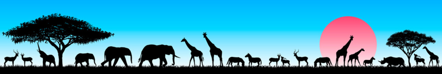 African animals in the wild. Silhouettes of wild animals of the African savannah. Set of different wild animals of Africa. African animals against the blue sky and the rising sun