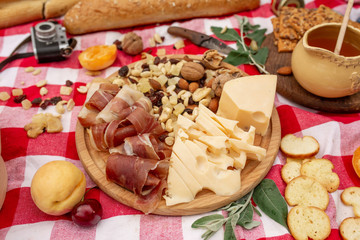 Fototapeta premium Summer outdoor picnic party. Food, honey and fruits lay on checkered blanket