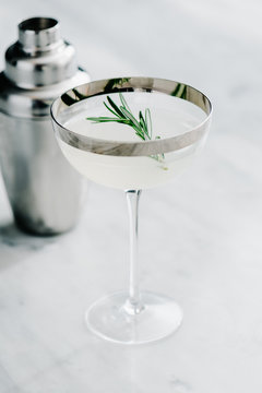 Rosemary Gimlet Cocktail