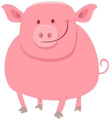 pig animal character cartoon illustration