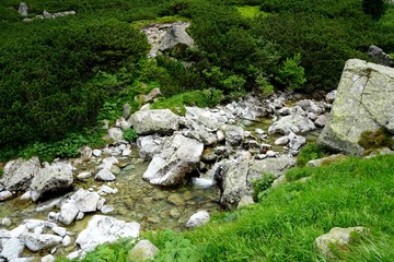 Mountain stone trail through forest in High Tatras. Mountain road in the forest.                      Journey through the Carpathian forests and mountains
