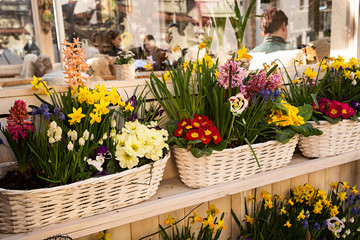 Maceteros blancos con plantas variadas.