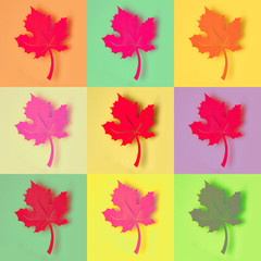 Paper maple leaf, photo collage in colorful pop art style