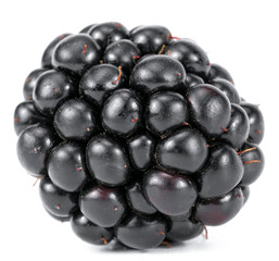 Ripe Blackberry On A White Background