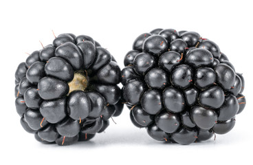 lackberry Isolated On A White Background