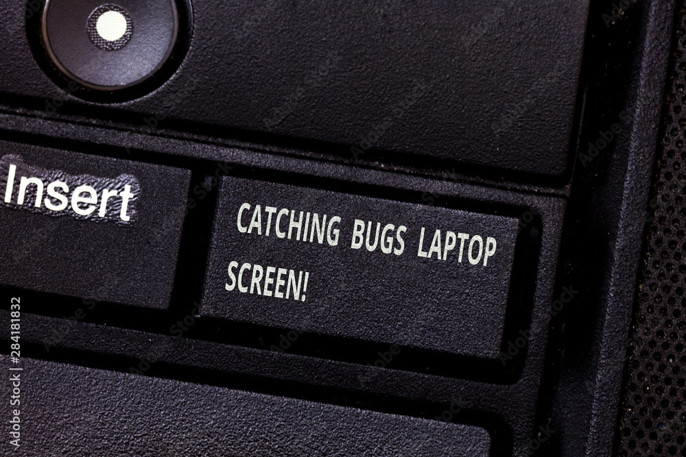 Fototapete word writing text catching bugs laptop screen. business concept for computer system protection safet