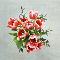 Bunch of red tulips and eucalyptus leaves on grey background, top view, square composition